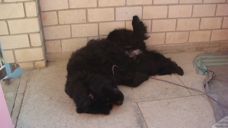 Фотография № 192600