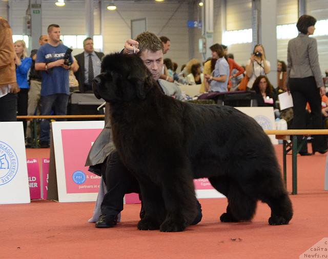 Фотография № 192602