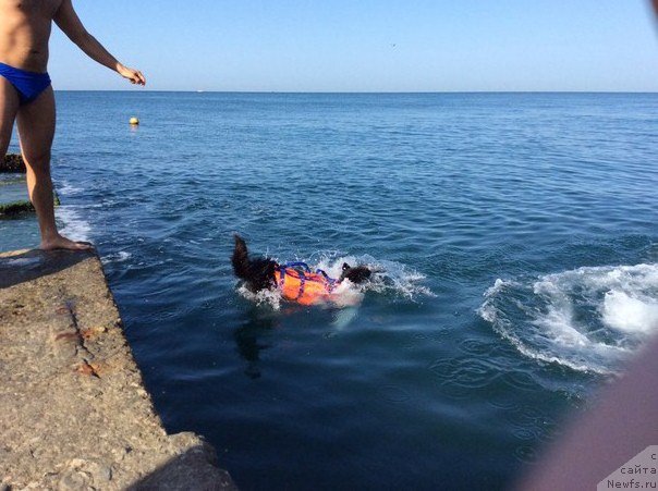 Фотография № 192609