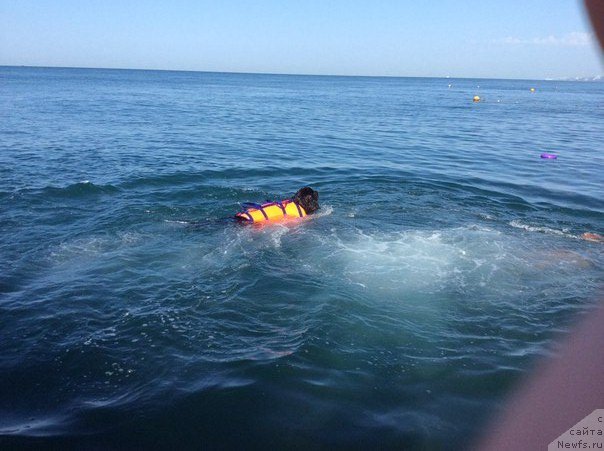 Фотография № 192610