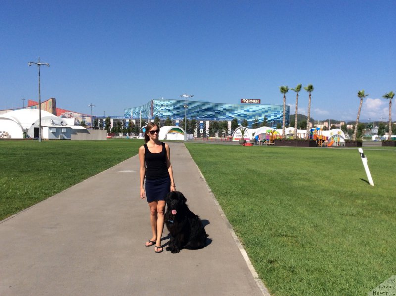 Фотография № 192612