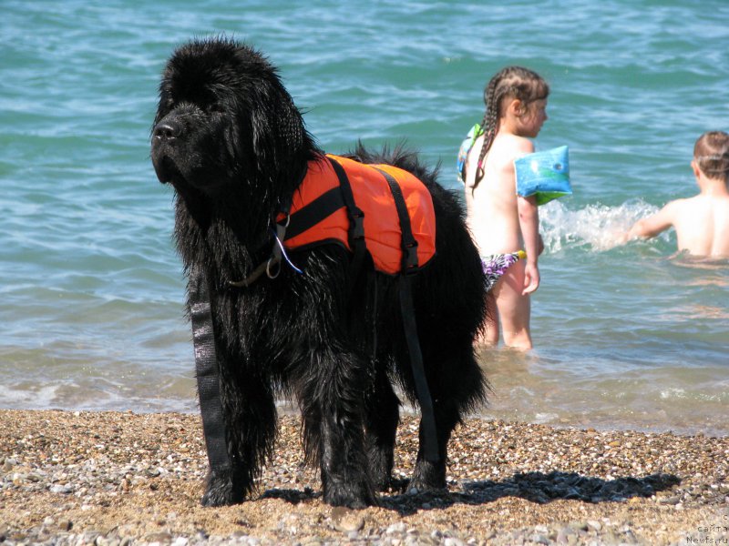 Фотография № 192613