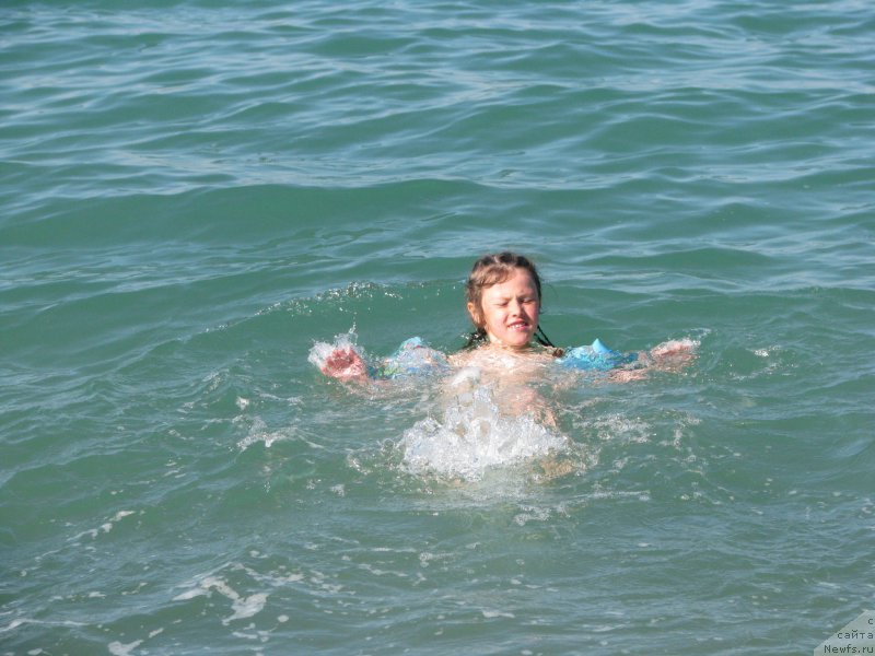 Фотография № 192615