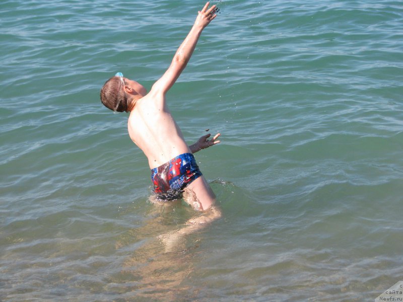 Фотография № 192616