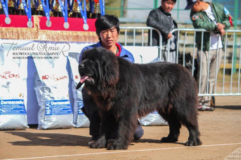 Фотография № 192618