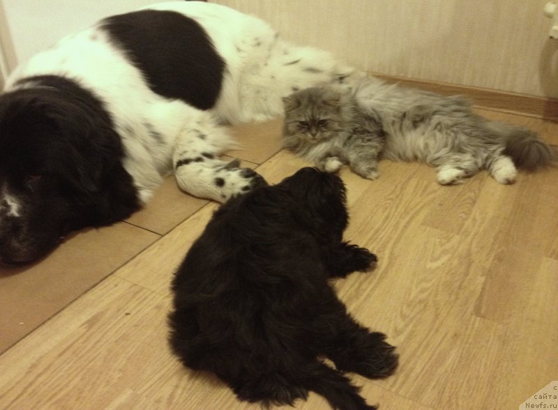 Фотография № 192622