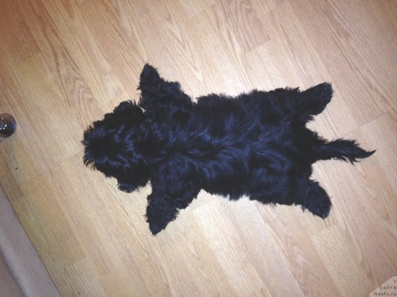 Фотография № 192623