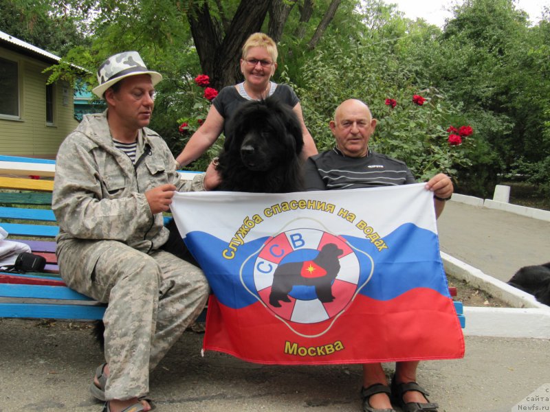Фото: Галина Артюшина, ньюфаундленд Масяня Гранд Бэби, Владимир Ключенович