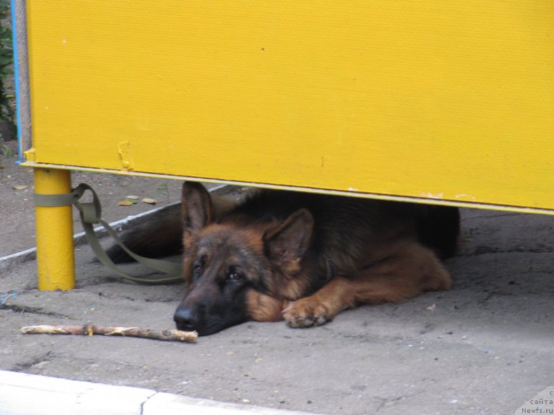 Фото: Гюнтер