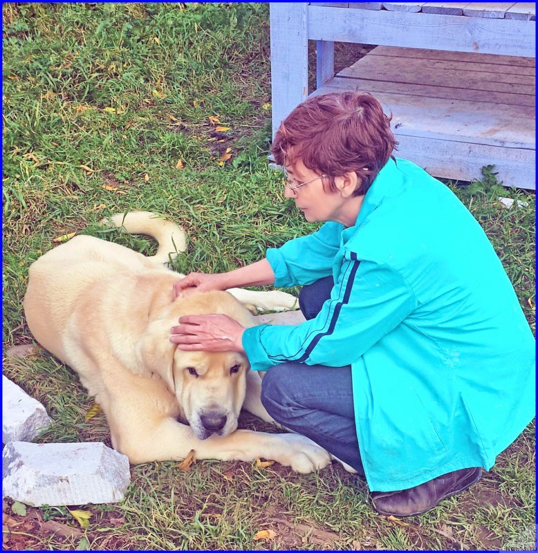 Фото: Лена Зырина, Алия Исаева