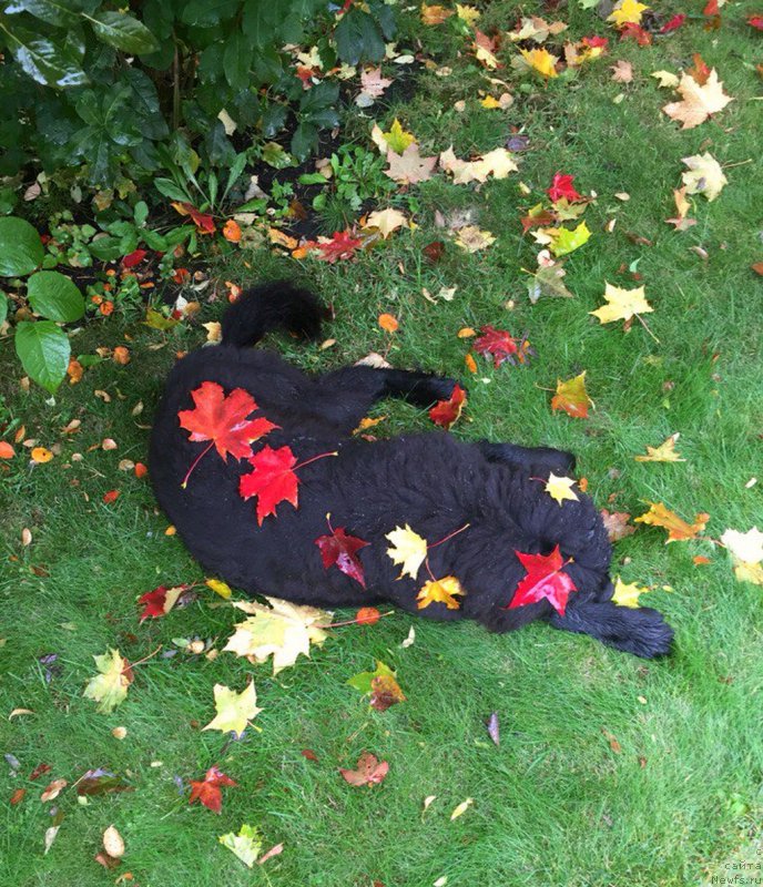 Фотография № 192697