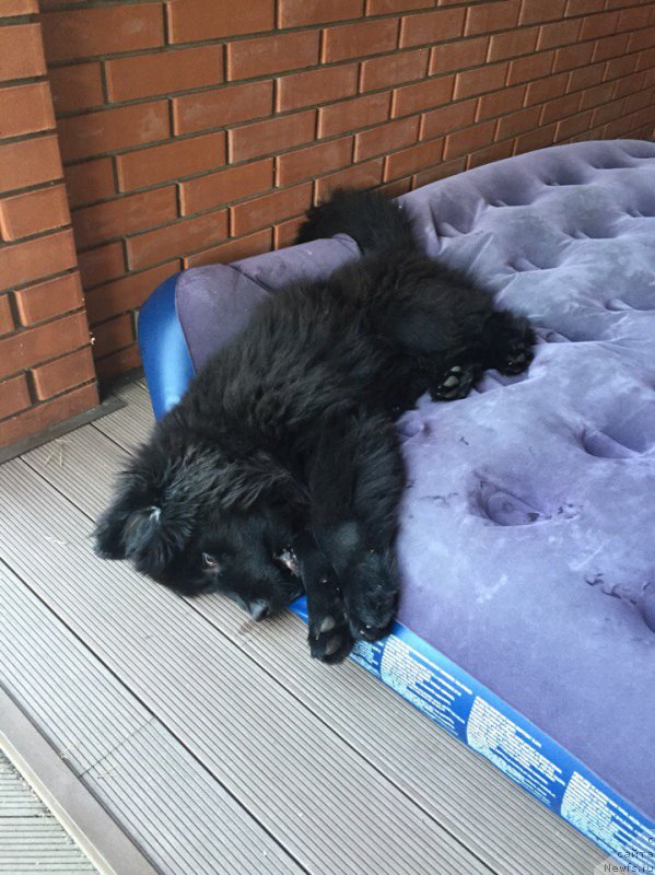 Фотография № 192704