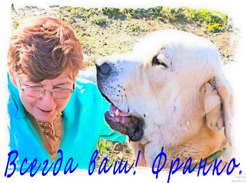 Фотография № 192707