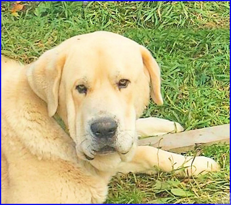 Фотография № 192708