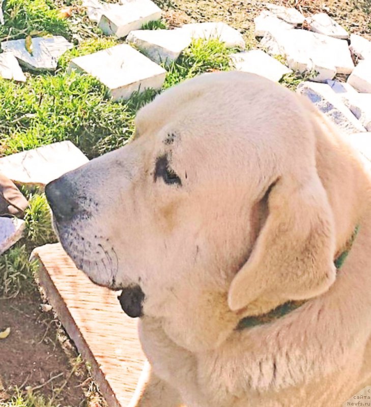 Фотография № 192709