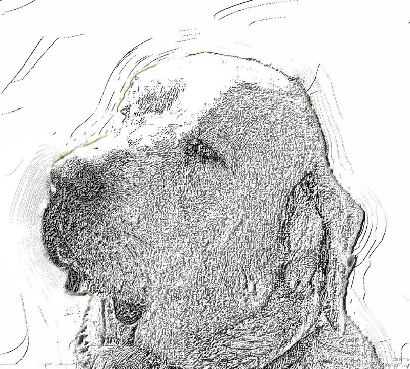 Фотография № 192710