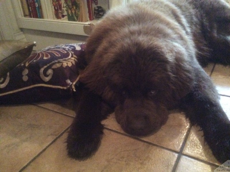 Фотография № 192749