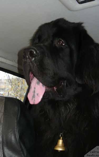 Фотография № 19275