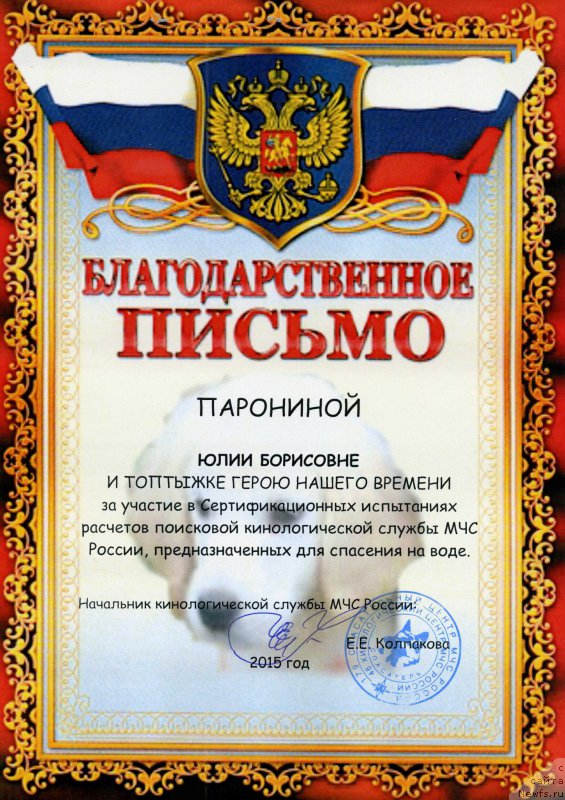 Фото: ньюфаундленд Топтыжка Герой Нашего Времени (Toptyzhka Geroy Nashego Vremeni)