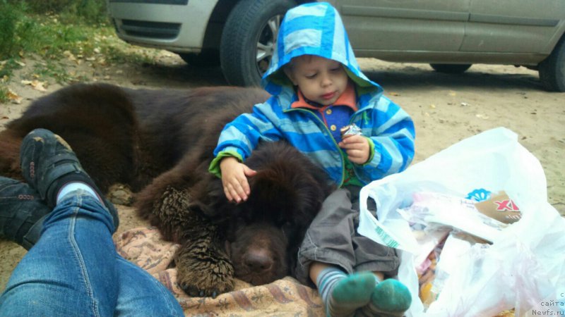 Фотография № 192804