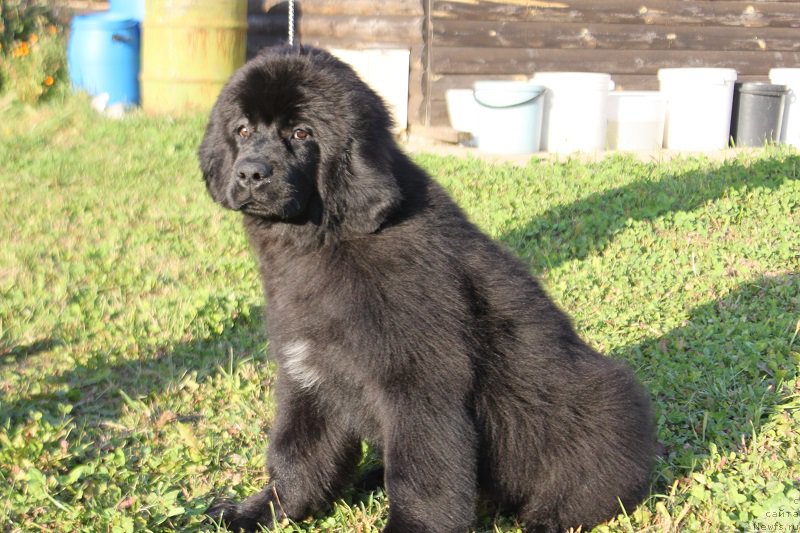 Фото: Наталья Смазчикова