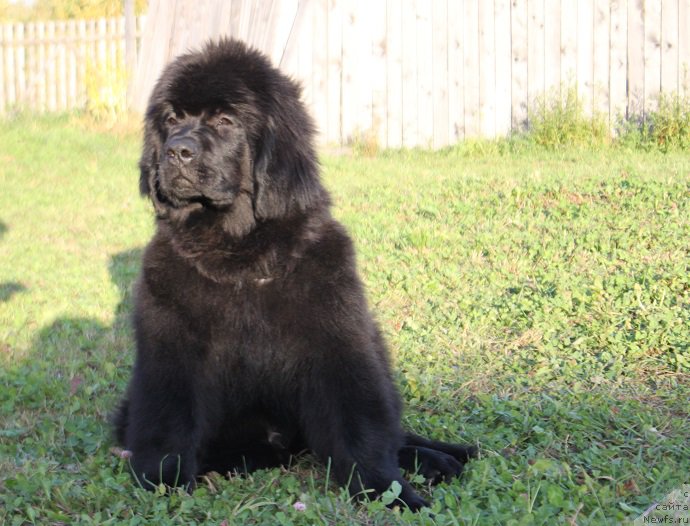 Фото: Наталья Смазчикова