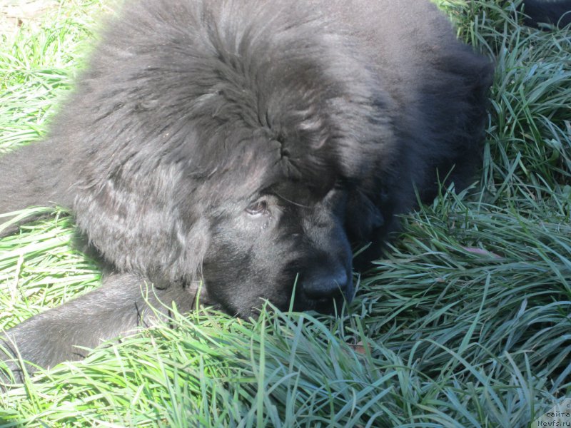 Фото: Наталья Смазчикова