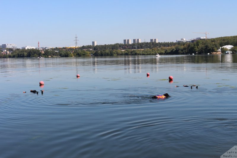 Фотография № 192835