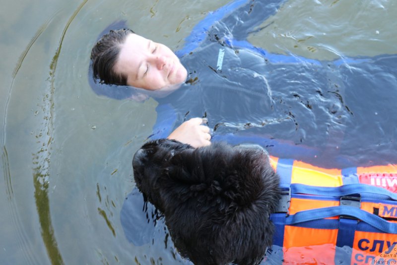 Фотография № 192836