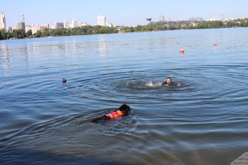 Фотография № 192841