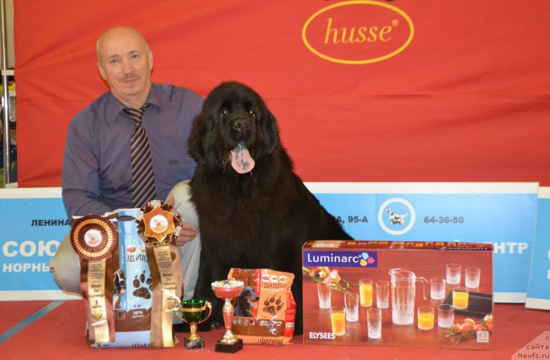 Фотография № 192845