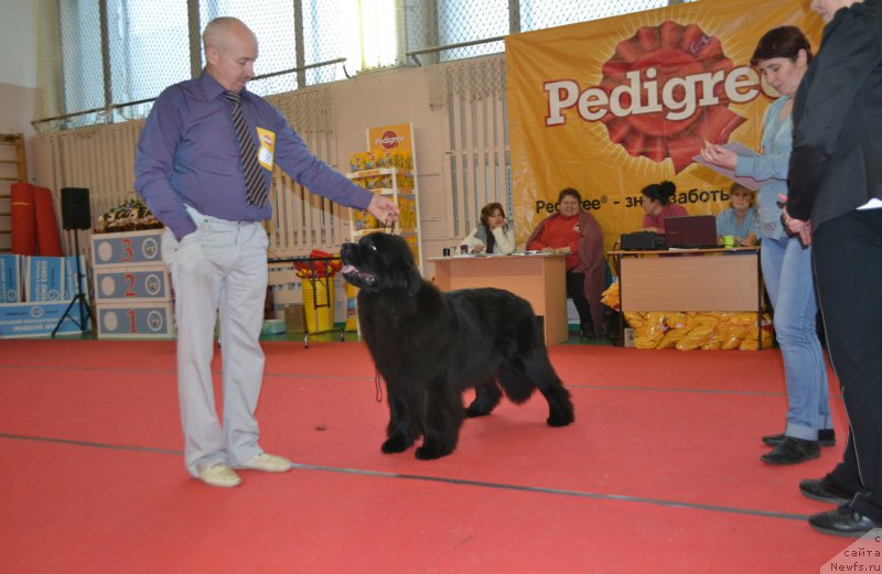 Фотография № 192855