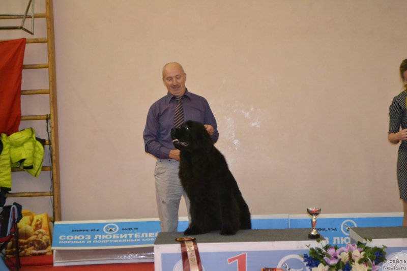 Фотография № 192857