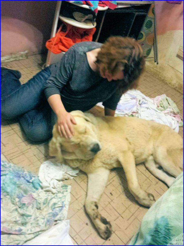 Фото: Лена Зырина