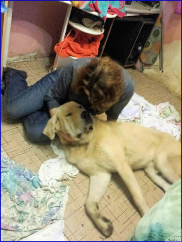 Фотография № 192863