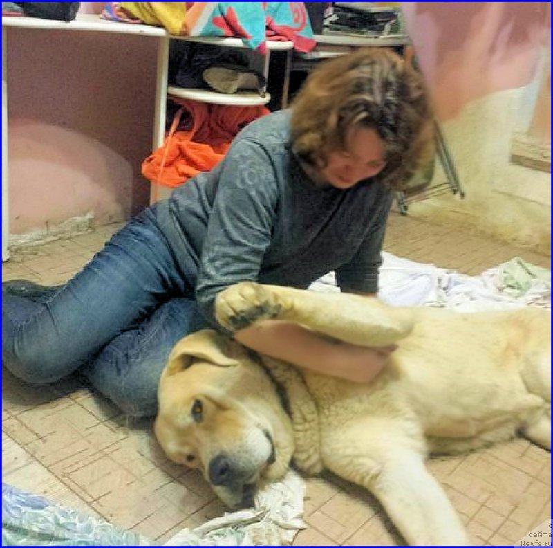 Фотография № 192864