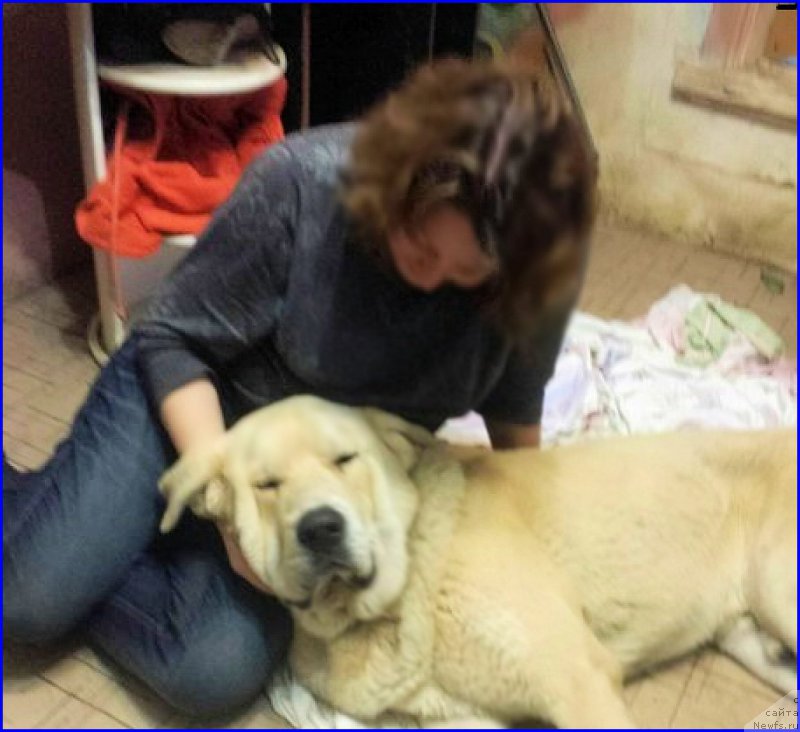 Фотография № 192867