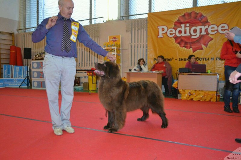 Фотография № 192869