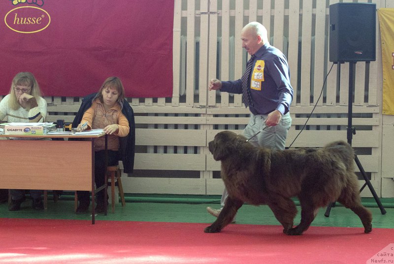 Фотография № 192878