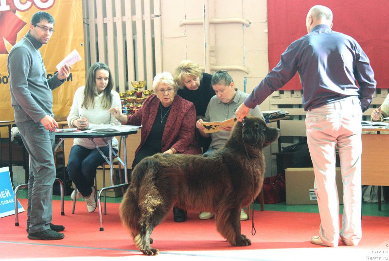 Фотография № 192879