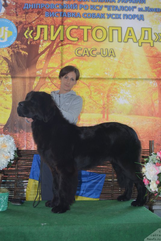 Фотография № 192884