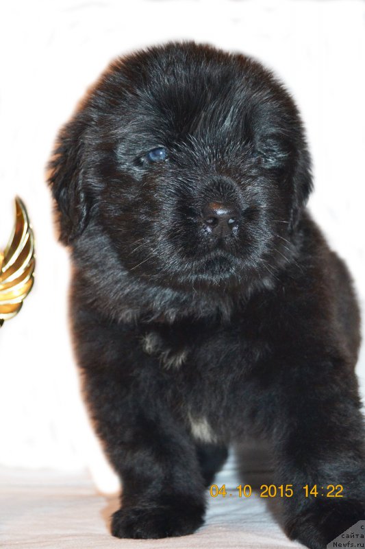 Фотография № 192891