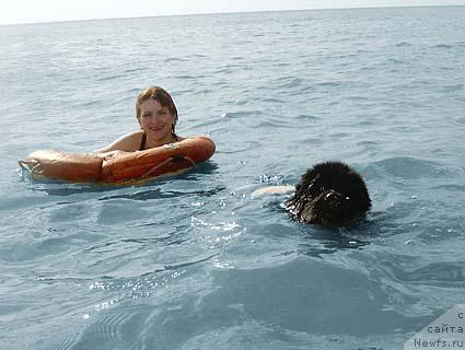 Фотография № 19290