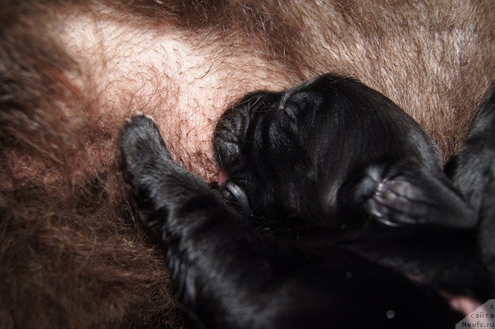 Фотография № 192904