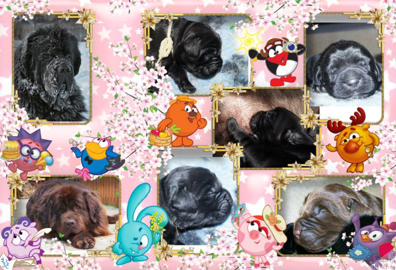 Фотография № 192906