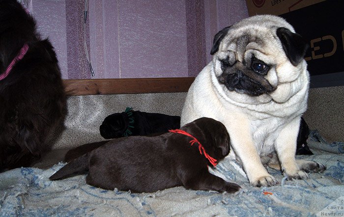 Фотография № 192908