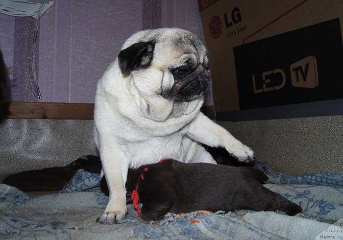 Фотография № 192909