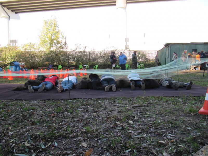 Фотография № 192923