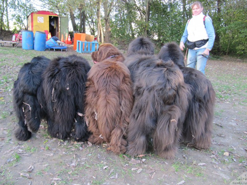 Фотография № 192924