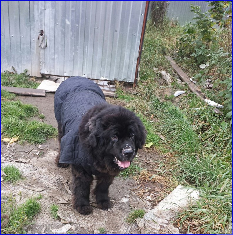 Фотография № 192929